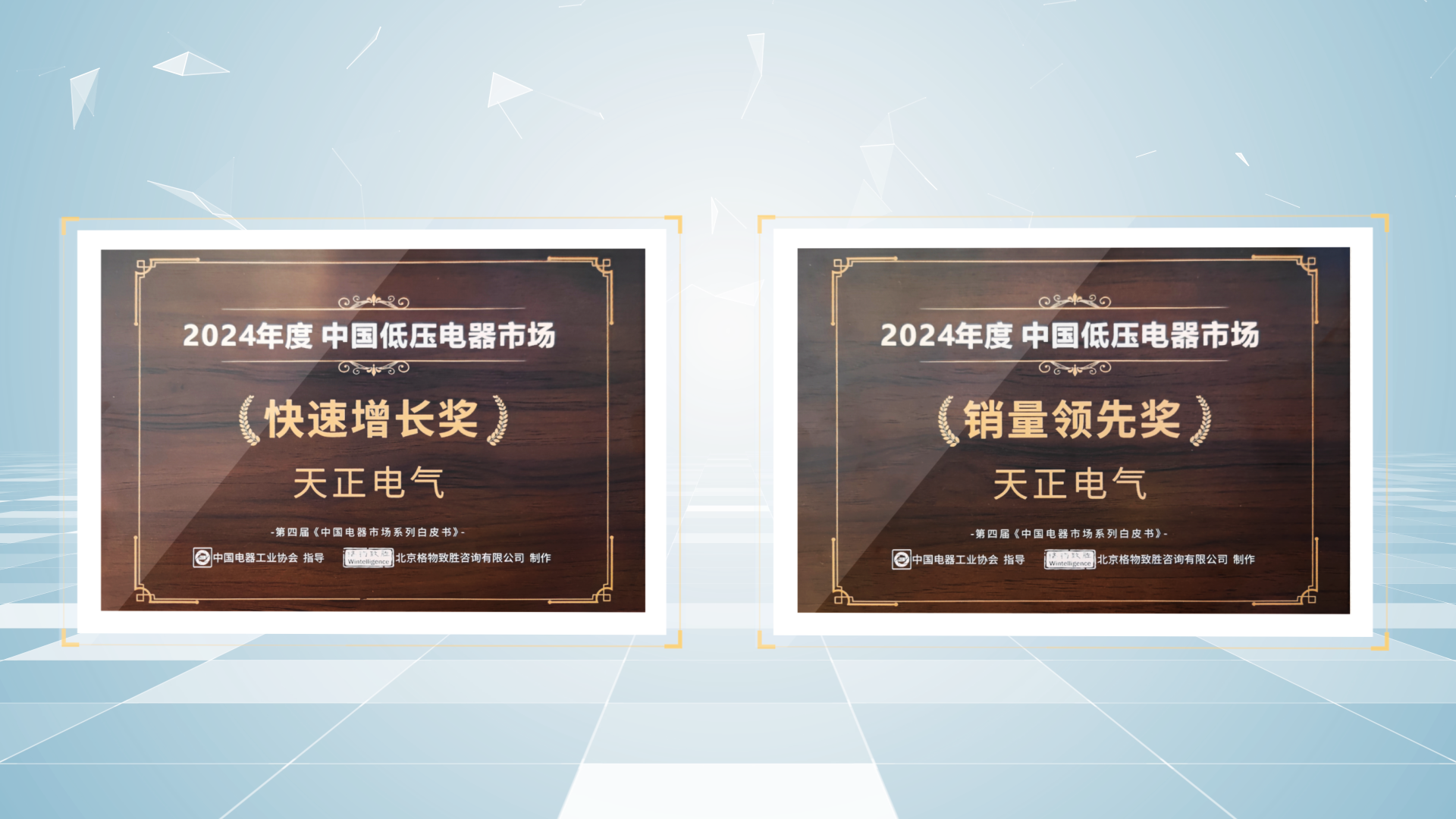 销量领先、快速增长丨pg电子在线模拟器荣膺2项行业年度大奖